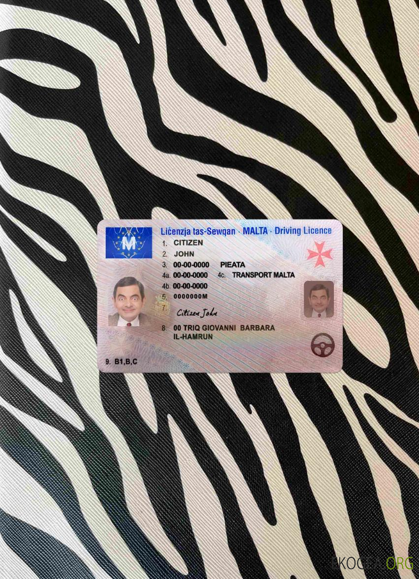 Photolook du permis de conduire de Malte AVANT